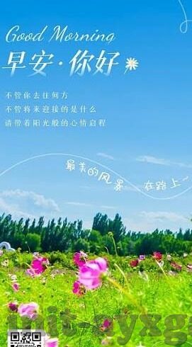 足球看比分网站-足球迷必备！深度解析那些让你欲罢不能的足球看比分网站